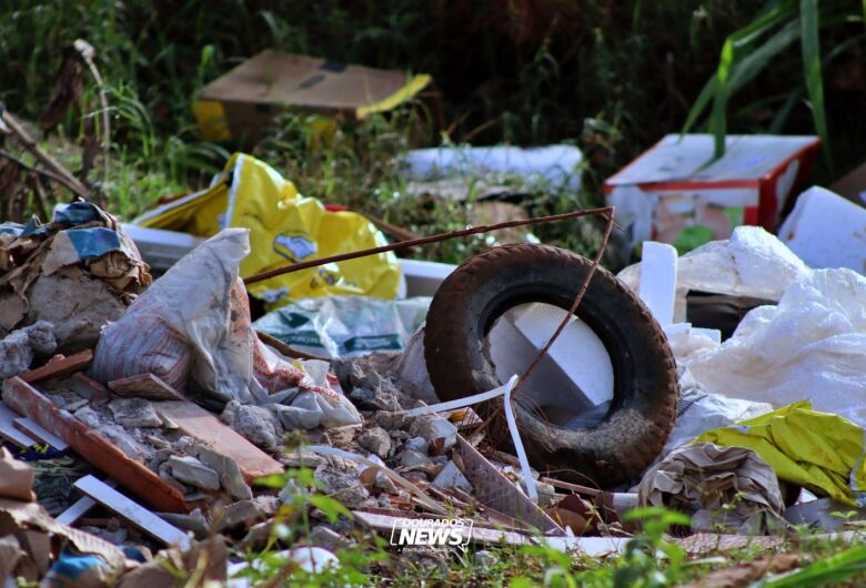 Em caso de quintais sujos e terrenos baldios denuncie pelo WhatsApp (67) 2222-2074 - Crédito: Clara Medeiros/Dourados News