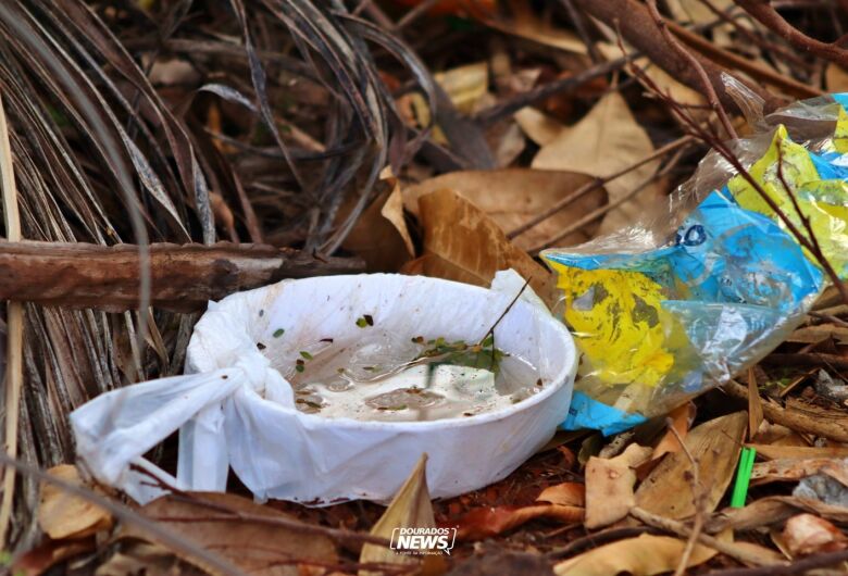 Água parada em recipientes são lugares onde o mosquito transmissor da dengue se desenvolvem - Crédito: Clara Medeiros/Arquivo/Dourados News