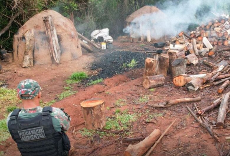 Agentes da PM lavraram auto de infração. - Crédito: (Reprodução, PMA)