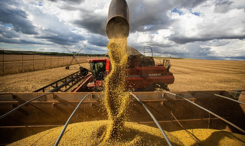 Maquinário faz a colheia da soja em plantação sul-mato-grossense. (Foto: Arquivo/Aprosoja)