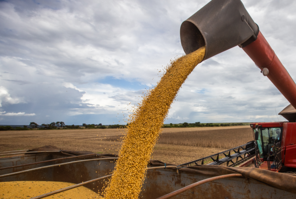 Soja é colhida em fazenda no sul do Estado. (Foto: Arquivo/Aprosoja)