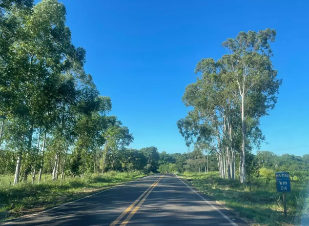 Quilômetro 04 da rodovia MS-040, entre Campo Grande e Inocência (Foto: Direto das Ruas)